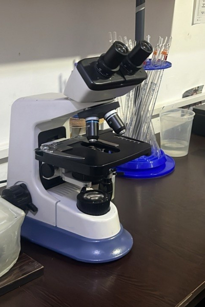 microscopio